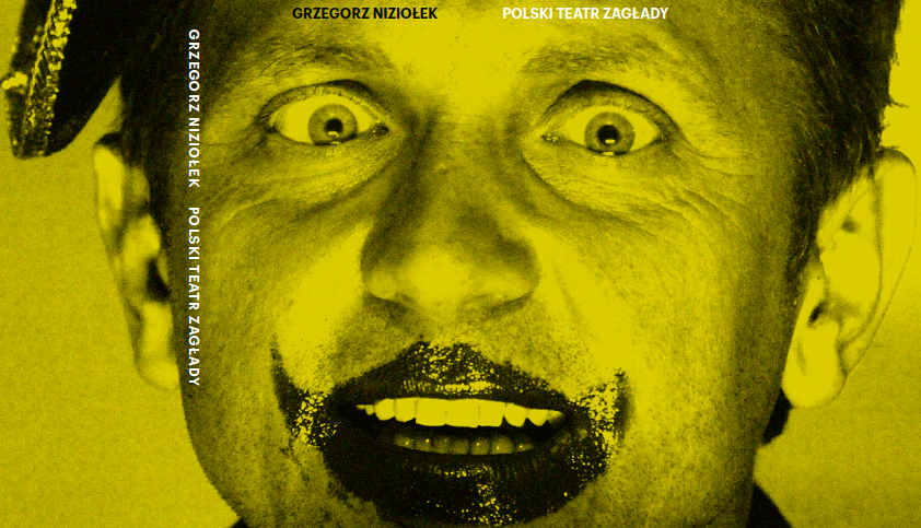 Grzegorz Niziołek, <i>Polski teatr Zagłady</i> (<i>Polish Theatre of the Holocaust</i>). Instytut Teatralny im. Zbigniewa Raszewskiego and Wydawnictwo Krytyki Politycznej, Warsaw 2013.